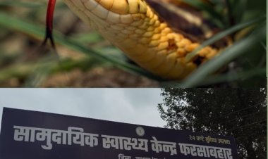 जहरीले सांप के काटने से तीसरी कक्षा के छात्र की मौत