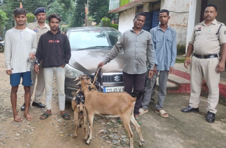 बगीचा से बकरी चोरी कर ले जाते थे अंबिकापुर बकरी चोर गिरोह को जशपुर पुलिस ने फिल्मी स्टाइल में पीछा कर पकड़ा