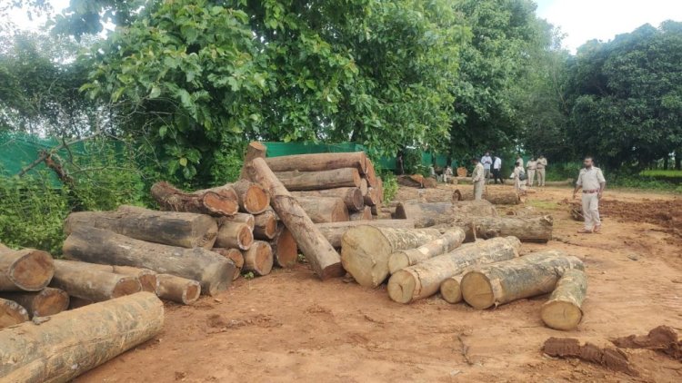 अवैध इमारती लकड़ी खपाने की जुगत में थे लकड़ी तस्कर,  गुप्त सूचना पर वन विभाग की टीम ने की कार्रवाई