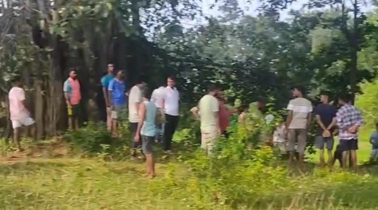 खुखड़ी मशरूम के चक्कर में एक और महिला की गई जान, पास के जंगल से खुखड़ी चुनकर घर लौट रही महिला को जंगली हाथी ने रौंदा,