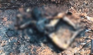 एनएच -43 पर सड़क किनारे मिली युवक की बुरी तरह जली हुई लाश हत्या के बाद साक्ष्य मिटाने के लिए शव को जलाने का अंदेशा अभी तक मृतक की नहीं हुई शिनाख्त, शव को मरचुरी में रखकर जांच में जुटी पुलिस