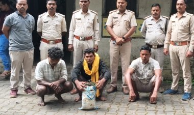 सुअर मारने के लिए बिछाई गई बिजली के नंगे तारों की चपेट में आकर हुई थी जंगली हाथी की मौत  पूर्व डीडीसी का पति मामले का मुख्य आरोपी, जंगली सुअर मारने के लिए बिछाई थी बिजली के तार