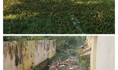 ठहरिए जहां आप लगा रहे हैं आस्था की डुबकी, स्वच्छ नहीं है यहां का पानी   छठ व्रतियों की आस्था के साथ यहां हुआ खिलवाड़   जशपुर के खिड़की बांध, देउल बांध तालाब और डोंगी बांध अर्थात सति उद्यान तालाब में आकर मिल रहा गंदे पानी का नाला   जिला प्रशासन और नगरपालिका ने ऊपर-ऊपर थूक पॉलिश कर लोगों की आंखों धूल झोंककर ले लिया श्रेय