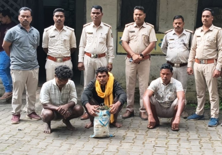 सुअर मारने के लिए बिछाई गई बिजली के नंगे तारों की चपेट में आकर हुई थी जंगली हाथी की मौत  पूर्व डीडीसी का पति मामले का मुख्य आरोपी, जंगली सुअर मारने के लिए बिछाई थी बिजली के तार