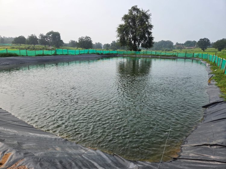 मुख्यमंत्री विष्णुदेव साय के नेतृत्व में जशपुर ने मत्स्य उत्पादन के क्षेत्र में हासिल की उल्लेखनीय उपलब्धि  पिछले 22 महीनों में जिले में 22.805 मीट्रिक टन मत्स्य उत्पादन, किसानों की आमदनी में हुई वृद्धि