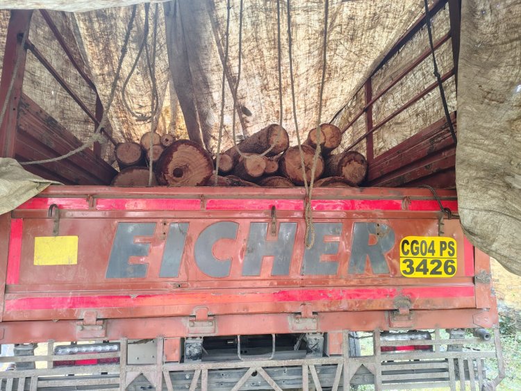 सेमल लकड़ी के 105 नग लट्ठे से लदा आईशर ट्रक जप्त  वन विभाग द्वारा अवैध वनोपज परिवहन पर की गई कार्यवाही