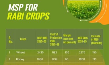 छत्तीसगढ़ में तुअर, उड़द, मूंग, सोयाबीन और मूंगफली की एमएसपी पर खरीद को मंजूरी