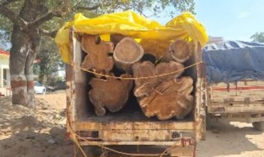 पुलिस और वन विभाग की संयुक्त कार्यवाही में एक पिकअप इमारती लकड़ी जप्त