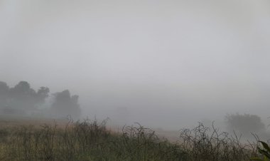 पश्चिमी विक्षोभ के सक्रिय होने से, जशपुर में एक बार फिर लौट आई कड़ाके की ठंड