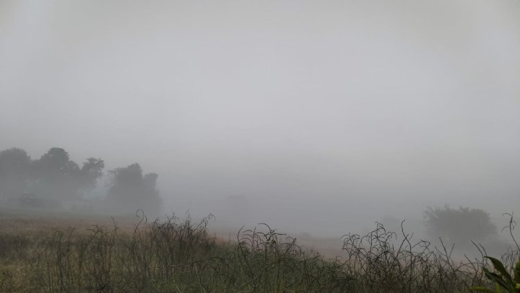 पश्चिमी विक्षोभ के सक्रिय होने से, जशपुर में एक बार फिर लौट आई कड़ाके की ठंड