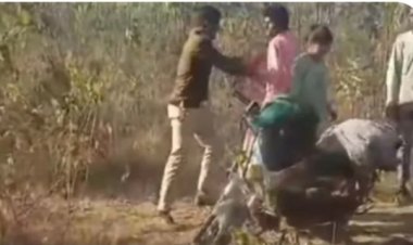 नर्सरी में फॉरेस्ट गार्ड को प्रेमिका के साथ पकड़ा, युवकों ने कराया डांस और बेल्ट से की पिटाई; वीडियो वायरल