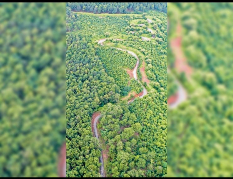 किनकेल घाटी में दर्दनाक हादसा: दो युवकों की मौत, तीन गंभीर घायल — रांची रेफर