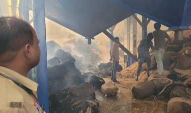 *राइस मिल में भीषण आग, तीन फायर ब्रिगेड मौके पर – मधुमक्खियों के छत्तों से बढ़ा खतरा, कर्मचारियों और दमकल कर्मियों में दहशत का माहौल*