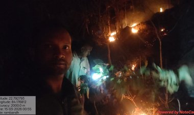 जशपुर वन मंडल में दो स्थानों पर लगी आग पर रातों-रात पाया गया नियंत्रण, जंगल में आग की सूचना देने संपर्क नंबर जारी