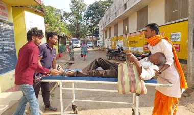 बगीचा में मधुमक्खियों का कहर: राह चलते बुजुर्ग पर हमला, घंटों तक सड़क पर तड़पता रहा बुजुर्ग, लोगों ने कंबल ओढ़ाकर बचाई जान