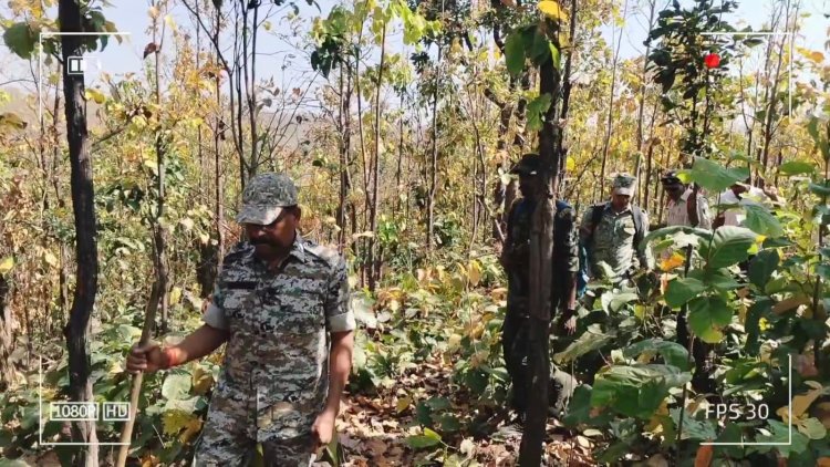 गौ तस्करी पर सख्ती: जंगलों में सर्च अभियान, गांवों में बनी ‘पुलिस मितान टीम