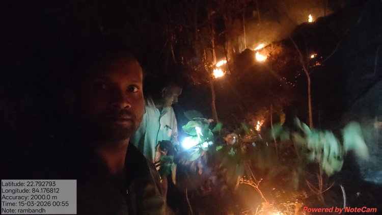 जशपुर वन मंडल में दो स्थानों पर लगी आग पर रातों-रात पाया गया नियंत्रण, जंगल में आग की सूचना देने संपर्क नंबर जारी