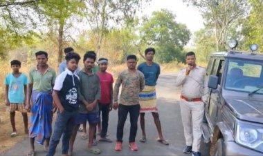 लैलूंगा से पहुंचे हाथी, कई गांवों में अलर्ट; फसलों और सिंचाई पम्पों को भारी नुकसान