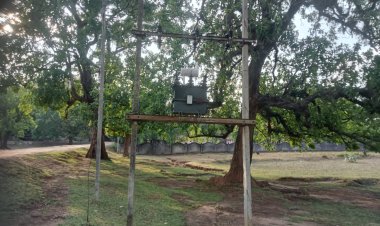 *वर्षों का इंतजार खत्म, दाराखरिका में ट्रांसफार्मर लगा—ग्रामीणों में खुशी की लहर, सीएम कैम्प कार्यालय बगिया में ग्रामीणों ने लगाई थी गुहार,