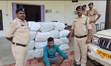 *आम की ट्रे में छिपाकर उड़ीसा से यूपी ले जाया जा रहा था 2 क्विंटल 7 किलो गांजा, 1.13 करोड़ की जप्ती*