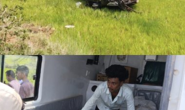 झपकी बनी हादसे की वजह, तेज रफ्तार कार पुलिया से टकराकर खेत में पलटी