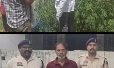 *जशपुर में एक घर की बाड़ी से 40 गांजे के पौधे जब्त* *पौधों को छिपाने के लिए लगाया था जाल, आरोपी गिरफ्तार*