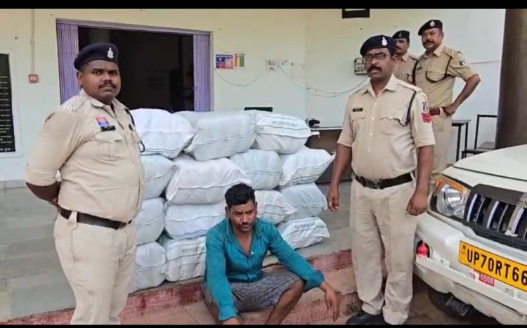 *आम की ट्रे में छिपाकर उड़ीसा से यूपी ले जाया जा रहा था 2 क्विंटल 7 किलो गांजा, 1.13 करोड़ की जप्ती*