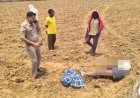 जमीन विवाद में किसान की हत्या, ट्रैक्टर से कुचलकर उतारा मौत के घाट  वसीयतनामे को लेकर चल रहा था विवाद, 8 आरोपी गिरफ्तार
