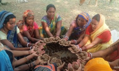 *उजड़े वनों, बंजर और खाली पड़े भू- भाग में मानसून में फेंकी जाएगी खाद में लिपटे बीजों की सीड बॉल*