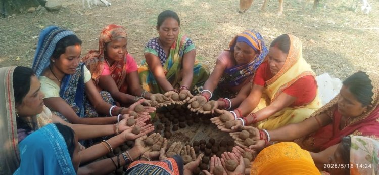 *उजड़े वनों, बंजर और खाली पड़े भू- भाग में मानसून में फेंकी जाएगी खाद में लिपटे बीजों की सीड बॉल*