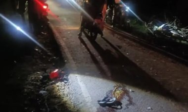 *शोक कार्यक्रम से लौट रहे युवक को अज्ञात वाहन ने मारी टक्कर, मौके पर मौत*