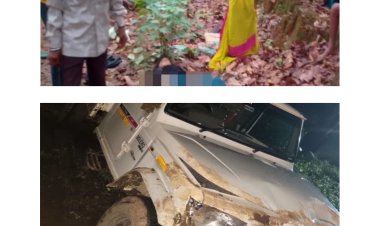 *धान का रोपा लगाकर खेत से लौट रहे मजदूरों की पिकअप पलटी, 2 महिलाओं की मौत, 10 घायल*  *मालवाहक में 20-25 मजदूर सवार थे, 3 गंभीर अंबिकापुर रेफर*