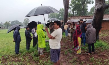 *वनभूमि पर अवैध कब्जों पर वन विभाग की कार्रवाई*  *सन्ना परिक्षेत्र में अतिक्रमण हटाकर कराया पौधरोपण, अवैध निर्माण भी ध्वस्त*