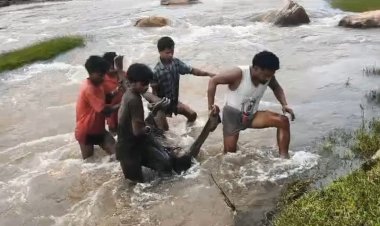 *डोड़की नदी के तेज बहाव में बहा 54 वर्षीय पहाड़ी कोरवा*  *एक किमी दूर झाड़ियों में मिला शव*