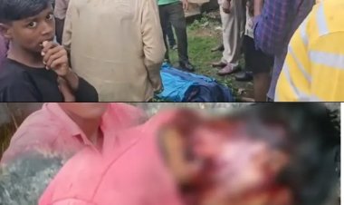 *करील-पुटू व जंगली दवाई लेने जंगल गया था युवक, वहीं शावकों के साथ मौजूद थी बाघिन, युवक पर किया हमला मौके पर मौत*