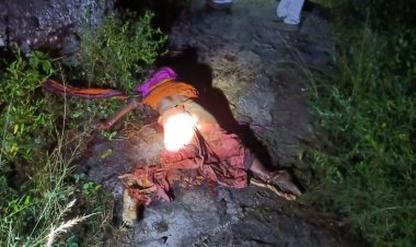 *कुनकुरी में 81 वर्षीय वृद्धा को हाथी ने पैरों से रौंदा, हुई दर्दनाक मौत*