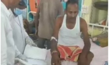 *खेत में उड़द तोड़ रहे परिवार पर मधुमक्खियों का हमला, वृद्धा समेत 4 घायल*