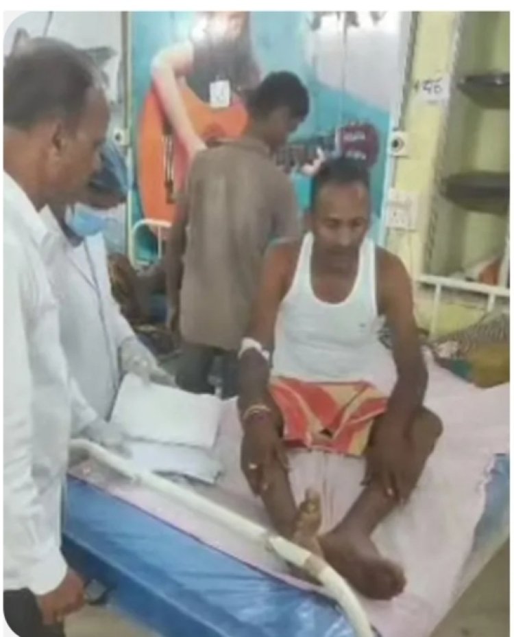 *खेत में उड़द तोड़ रहे परिवार पर मधुमक्खियों का हमला, वृद्धा समेत 4 घायल*