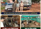 *बगीचा स्टेट हाइवे में कंटेनर ट्रक से 65 गौवंश बरामद, दो की मौत; ट्रक का चालक गिरफ्तार*