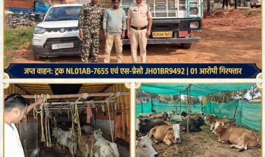 *बगीचा स्टेट हाइवे में कंटेनर ट्रक से 65 गौवंश बरामद, दो की मौत; ट्रक का चालक गिरफ्तार*