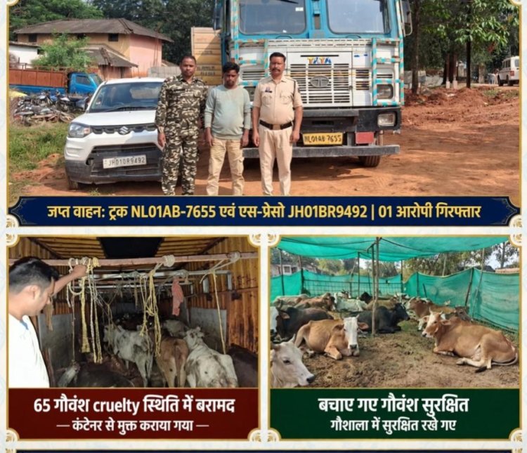 *बगीचा स्टेट हाइवे में कंटेनर ट्रक से 65 गौवंश बरामद, दो की मौत; ट्रक का चालक गिरफ्तार*